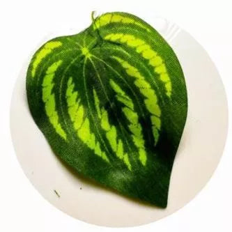 Folha Artificial 2M (Planta pendurada, decorativa)
